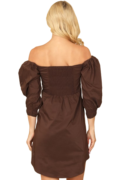 Brown Off Shoulder Ruched Front Curve Hem Solid Mini Dress - Pack of 5