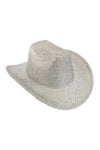 Glitter Solid Color Fedora Hat Silver  - Pack of 6